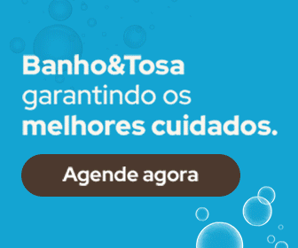 banho e tosa - pet anjo