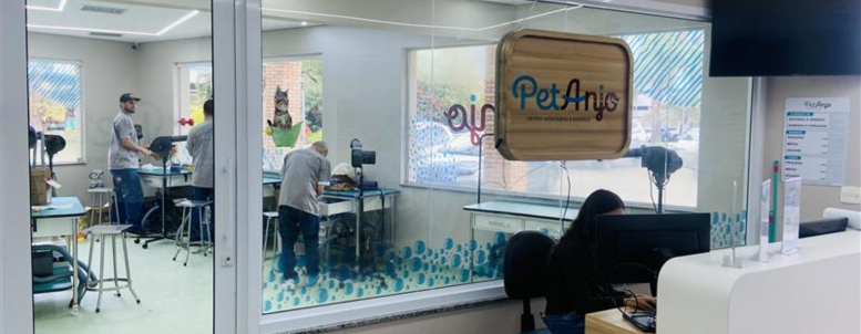 Negócio próprio no mundo pet por onde começar e como escolher o modelo ideal